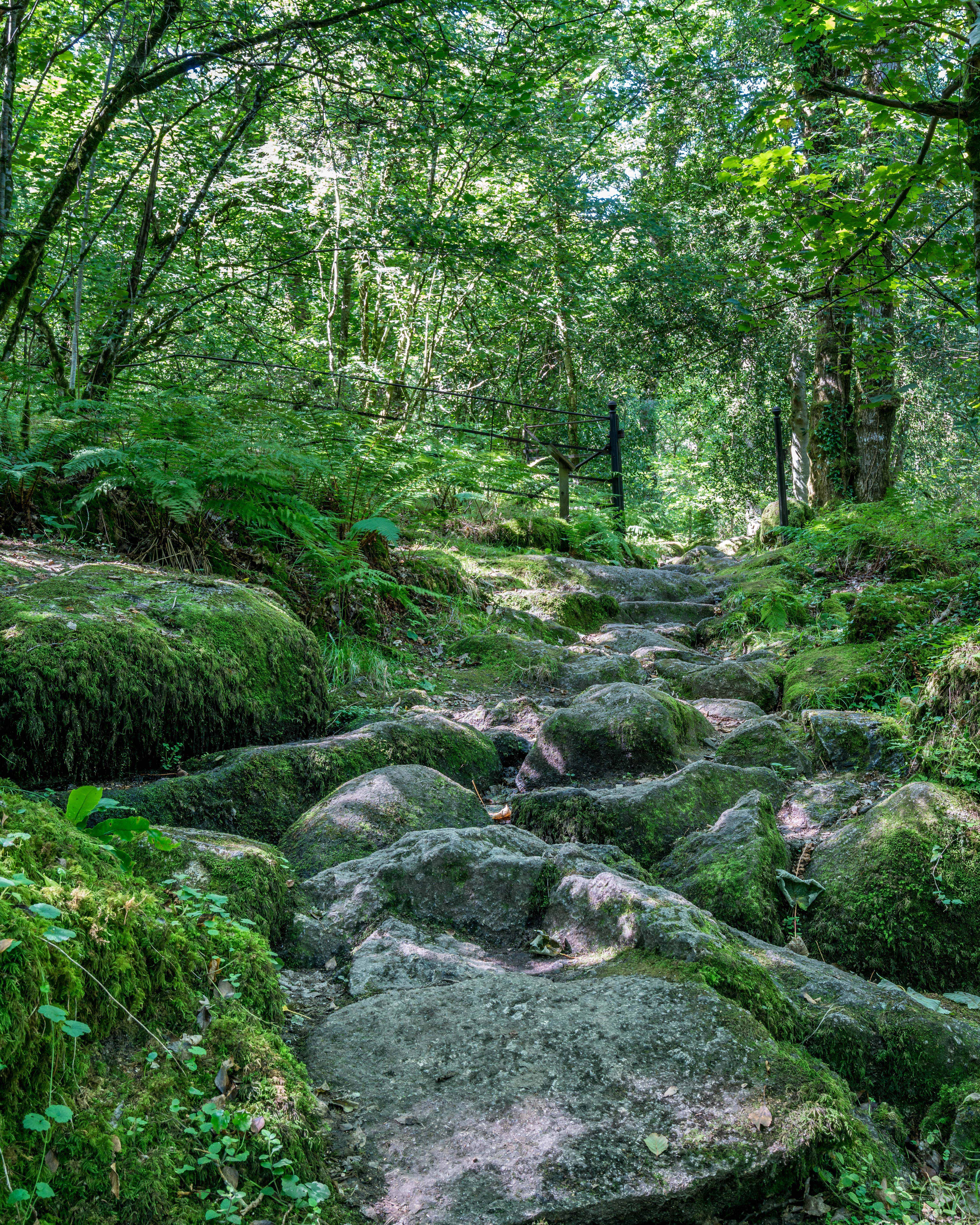 View of the Long Red Trail walk